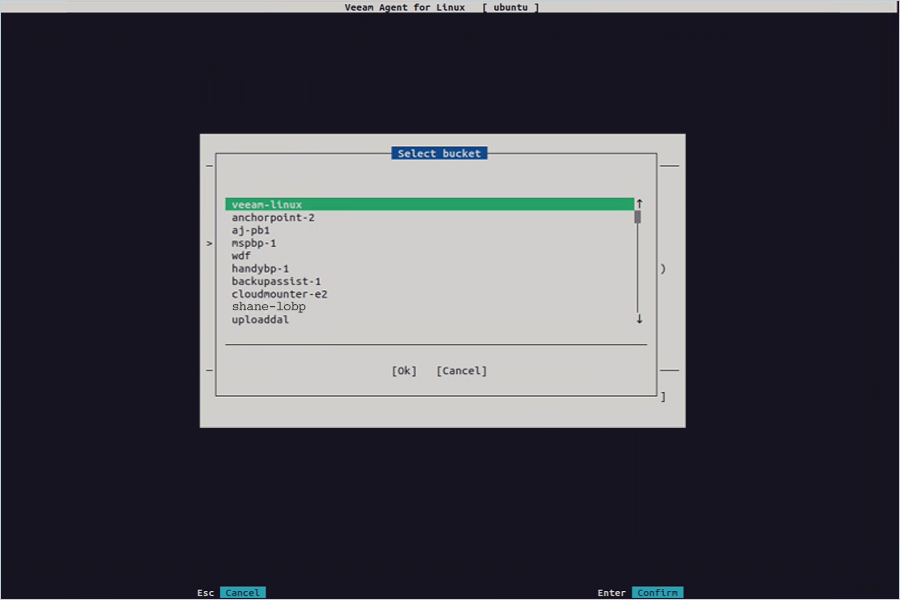 IDrive e2 with Veeam Standalone Linux