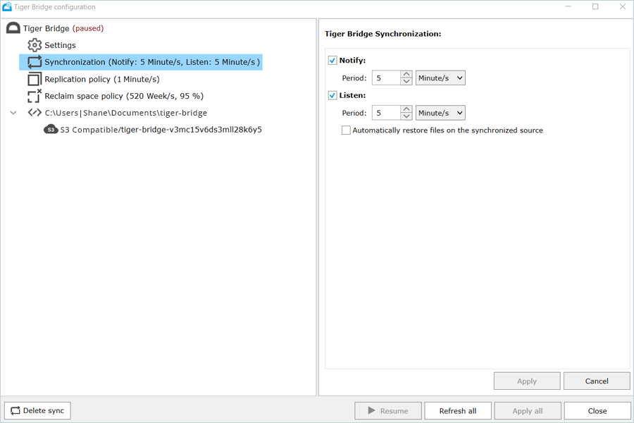 Tiger Bridge Guide - sync settings